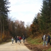 IMG_8533.JPG